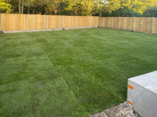 Landscaping, Garden Design, Fencing, Driveways, Paving, Lawns, Planting, Plants, Tress, Shrubs