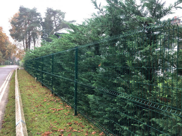 Landscaping, Garden Design, Fencing, Driveways, Paving, Lawns, Planting, Plants, Tress, Shrubs